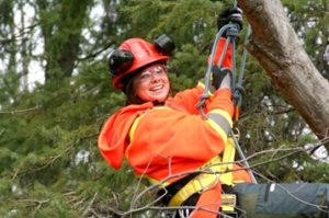 Made in the Trades - Female arborist student climbing a tree in full gear.